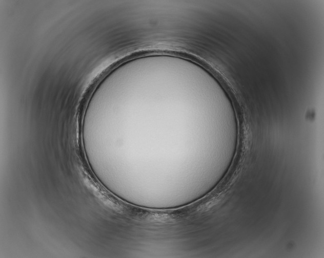 X0000115550982200911271429