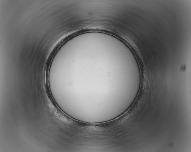 X0000115550984200911271429