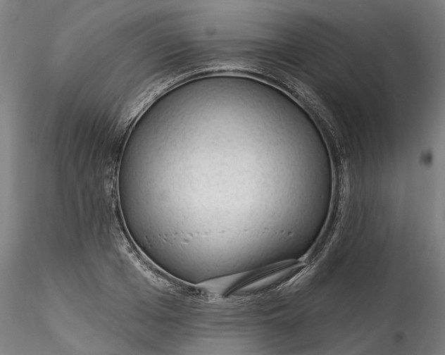 X0000115550985200911271429