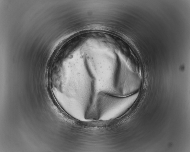 X0000115550987200911271429