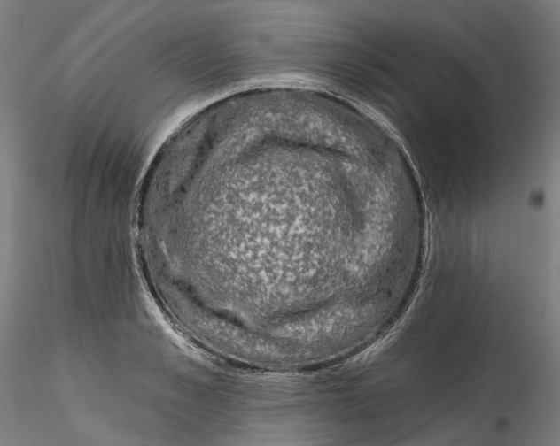 X0000115550989200911271429