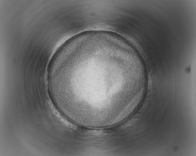 X0000115550990200911271429