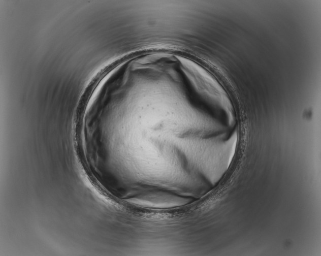 X0000115550991200911271429