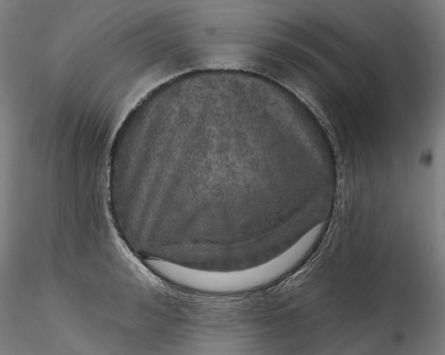 X0000115550992200911271429