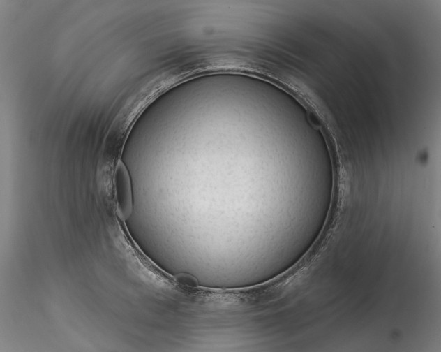 X0000115550993200911271429