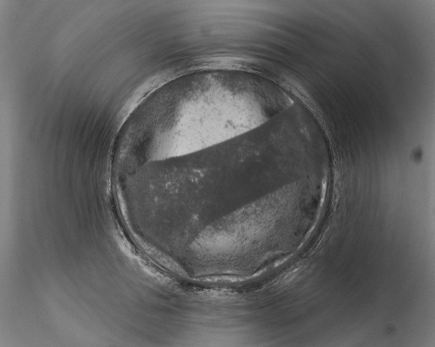 X0000115550994200911271429