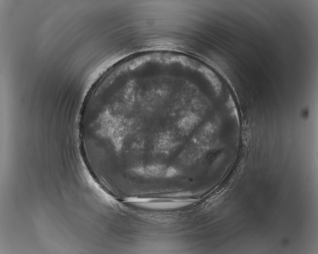 X0000115550995200911271429