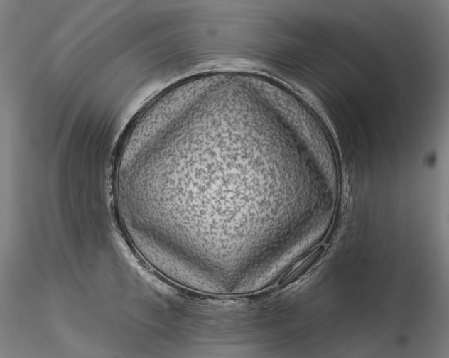 X0000115550997200911271429