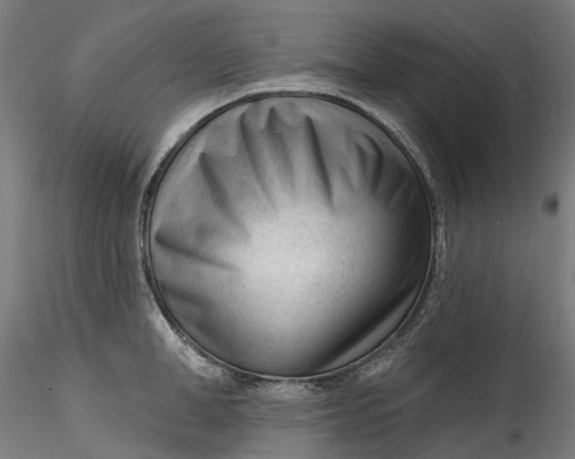 X0000115550998200911271429