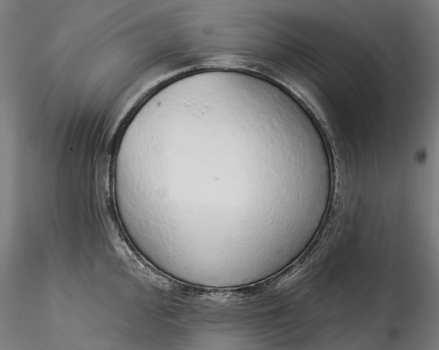 X0000115551000200911271429