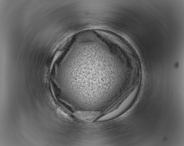 X0000115551001200911271429