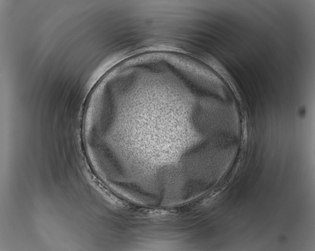 X0000115551002200911271429