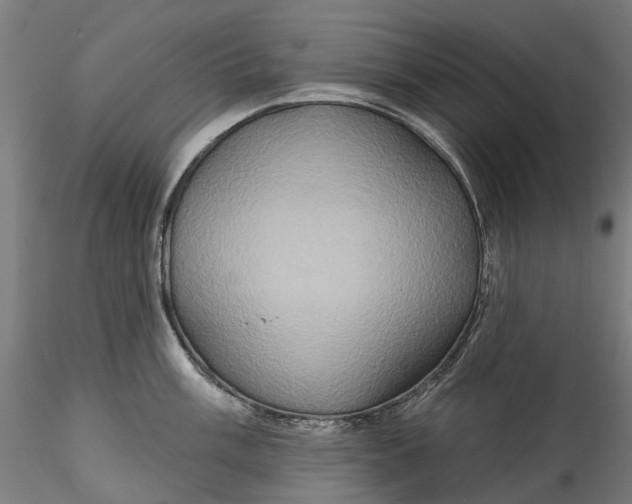 X0000115551003200911271429