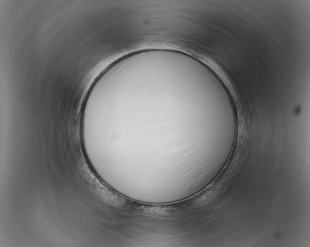 X0000115551004200911271429