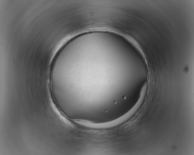 X0000115551005200911271429