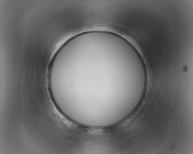 X0000115551006200911271429