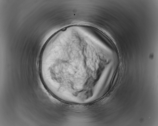 X0000115551007200911271429