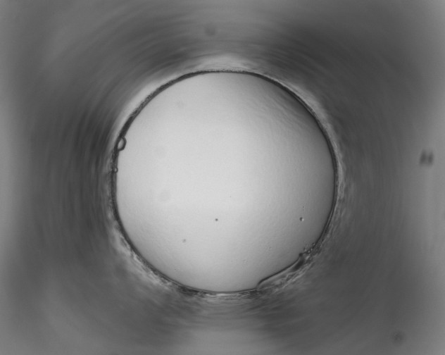 X0000115551008200911271429