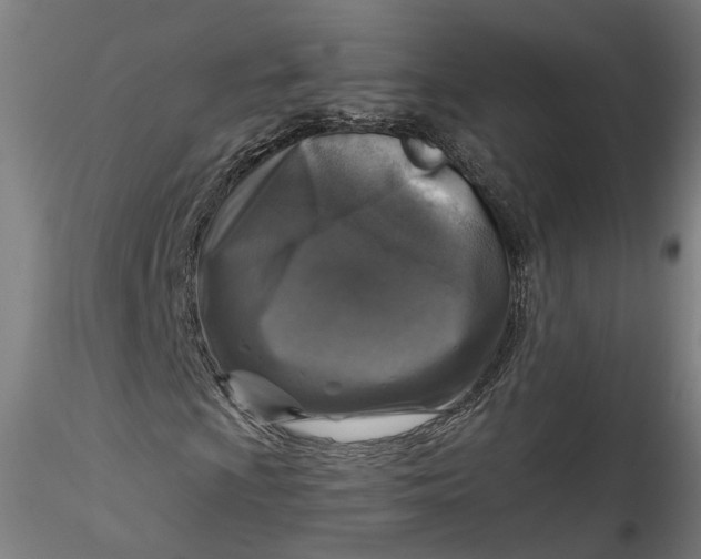 X0000115551009200911271428