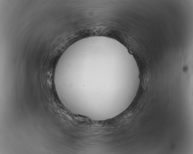 X0000115551010200911271428