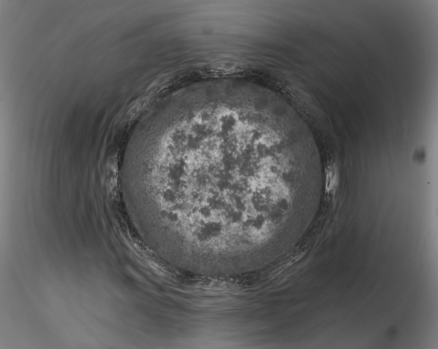 X0000115551011200911271428