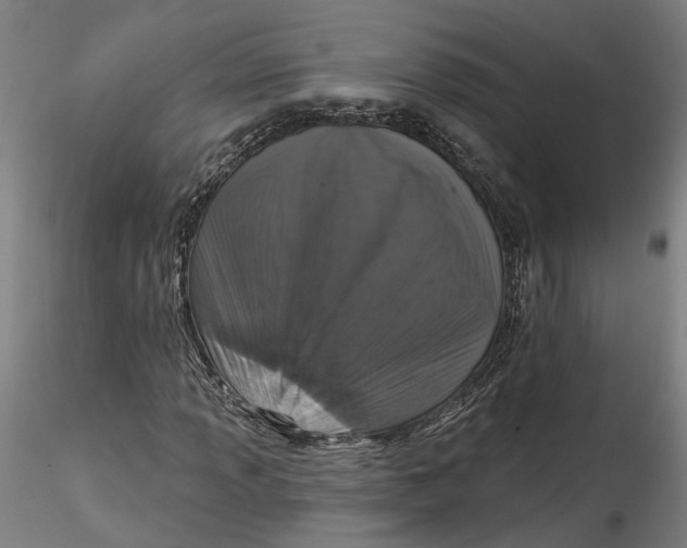 X0000115551013200911271428