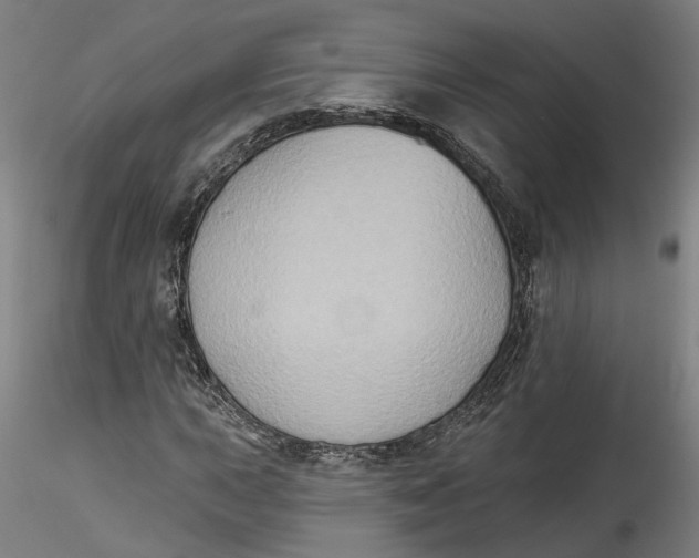 X0000115551015200911271428