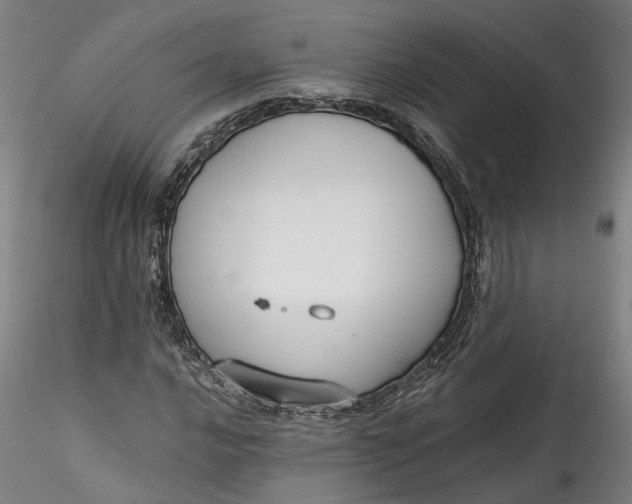 X0000115551016200911271428