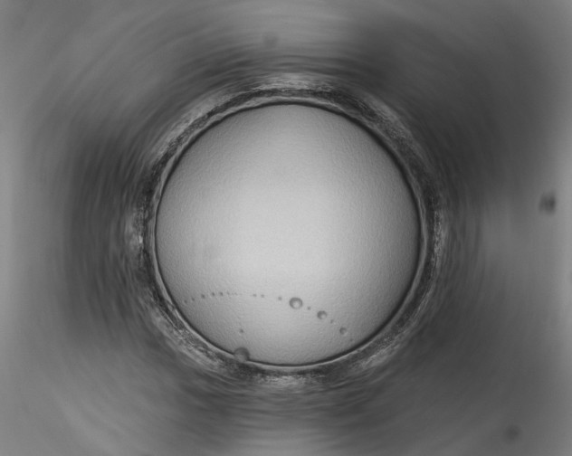 X0000115551017200911271428