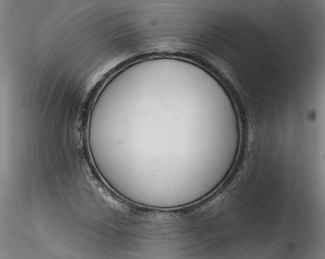 X0000115551018200911271428