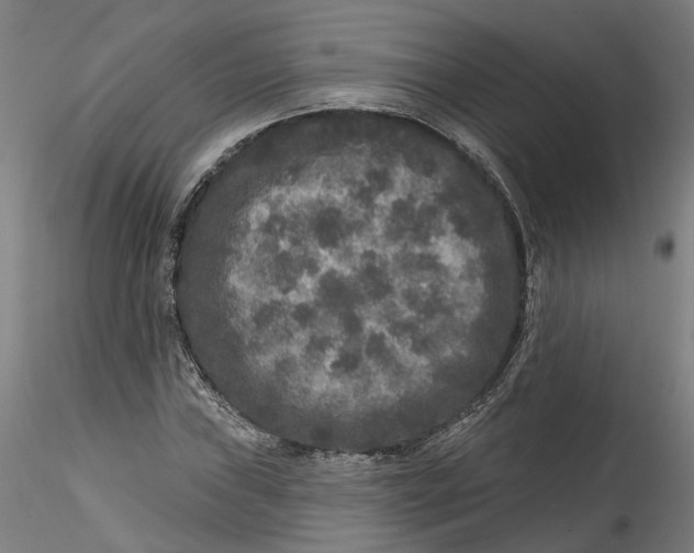 X0000115551019200911271428