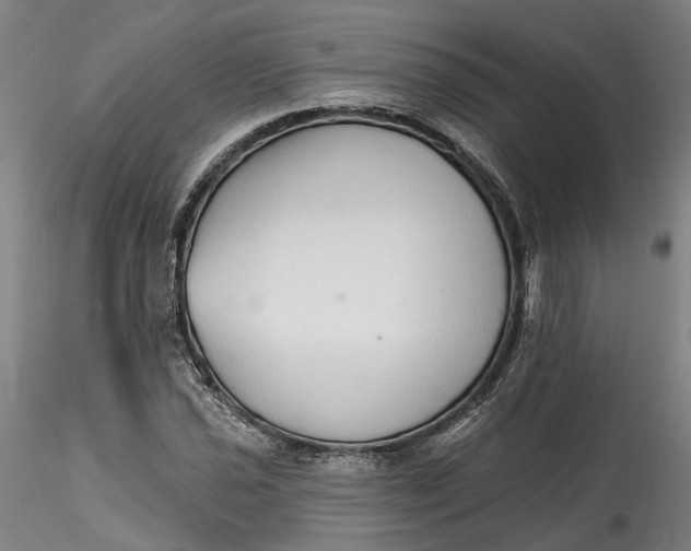 X0000115551021200911271428