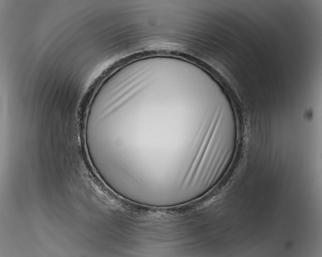 X0000115551022200911271428