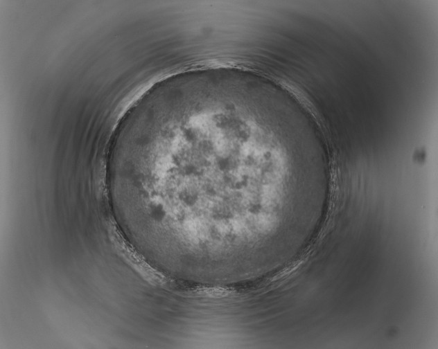 X0000115551023200911271428