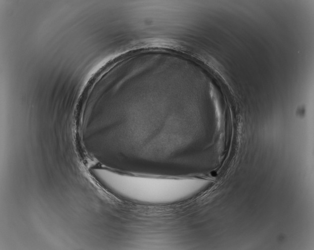 X0000115551024200911271428