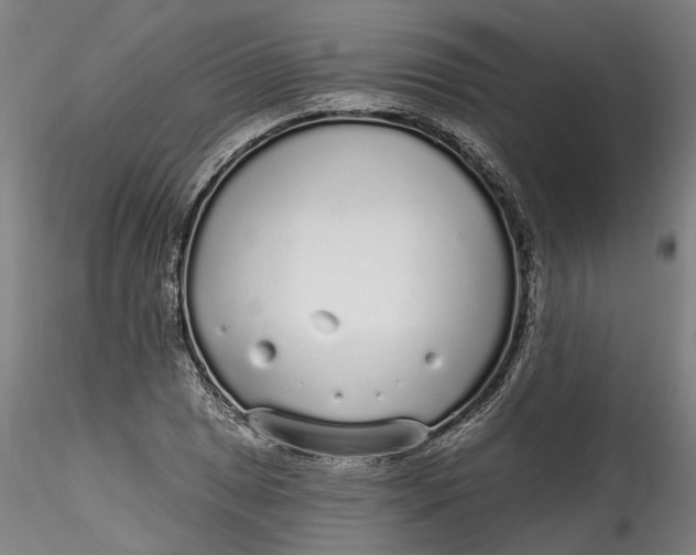 X0000115551025200911271428