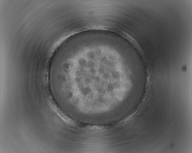 X0000115551027200911271429