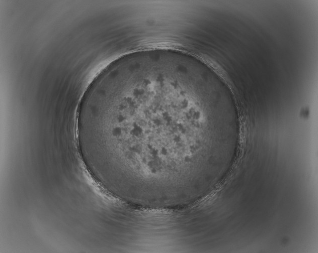 X0000115551031200911271429