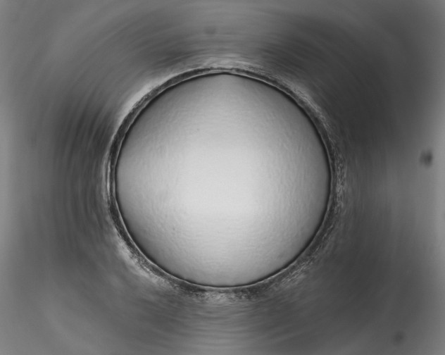 X0000115551032200911271429