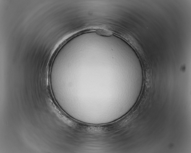 X0000115551036200911271429