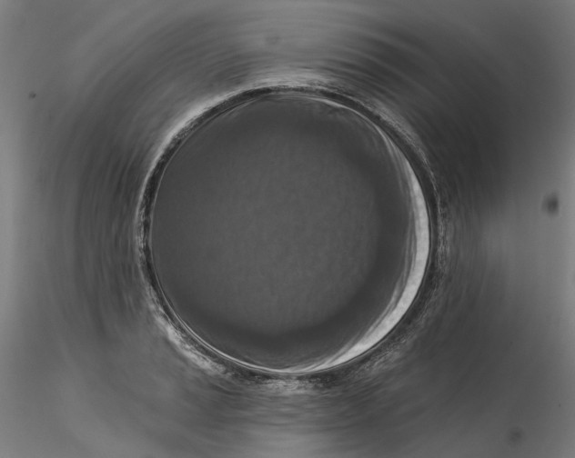 X0000115551037200911271429