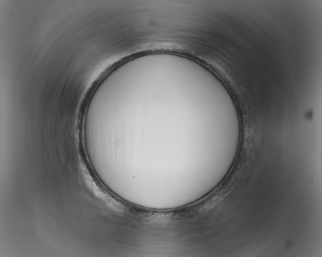 X0000115551038200911271429