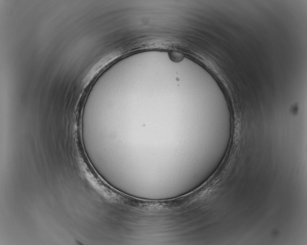 X0000115551042200911271429