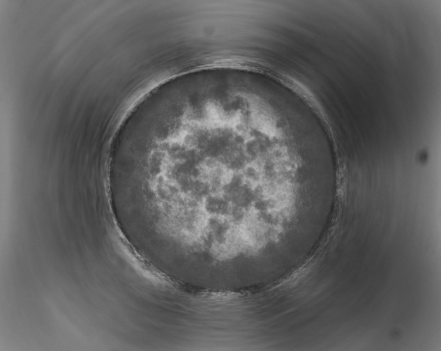 X0000115551043200911271429