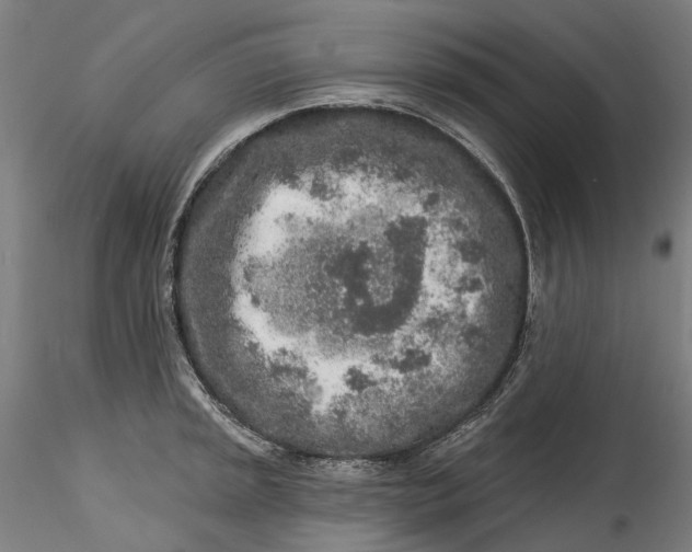 X0000115551045200911271429