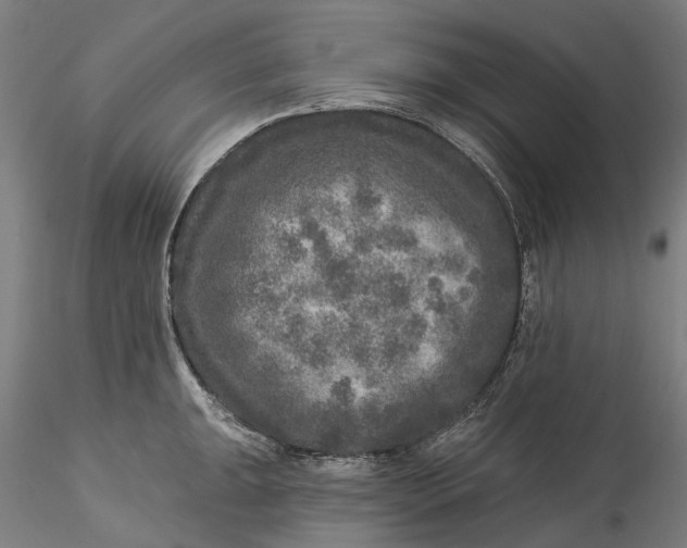 X0000115551047200911271429