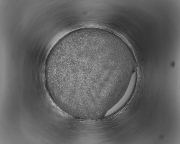 X0000115551048200911271429