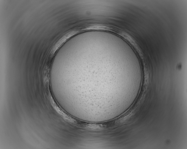 X0000115551049200911271429