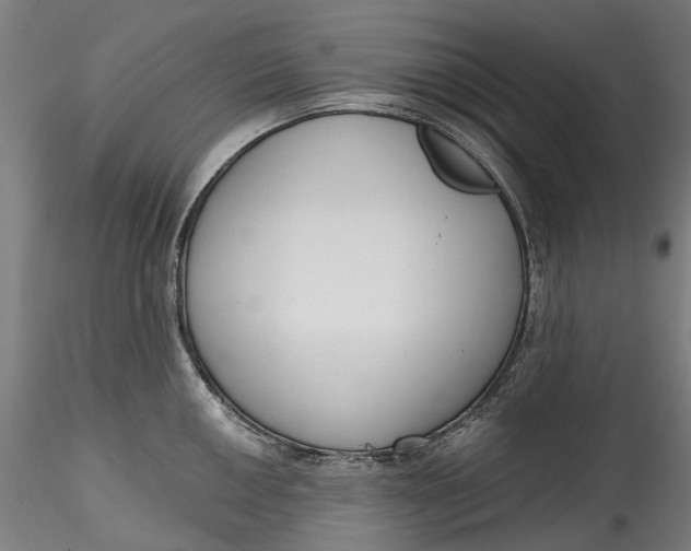 X0000115551050200911271429