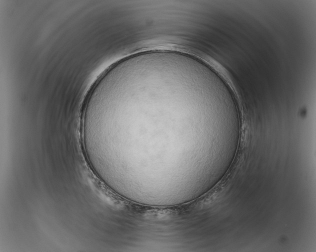 X0000115551051200911271429